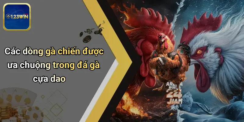 Các dòng gà chiến được ưa chuộng trong đá gà cựa dao