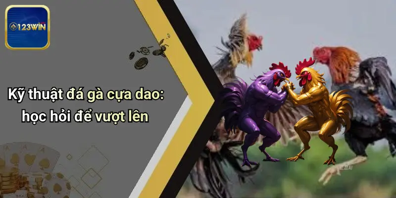 Kỹ thuật đá gà cựa dao: học hỏi để vượt lên